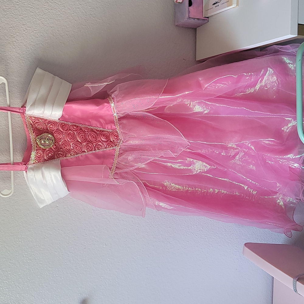 Disney Sleeping Beauty costume dress, 5/6